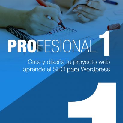 Curso wordpress profesional online